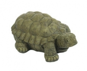 Small Walking Turtle
