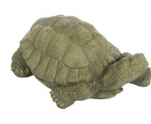 XL Snapping Turtle