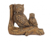Owl Family