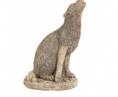 Howling Coyote