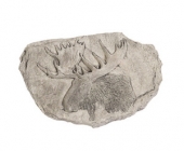 Moose Plaque