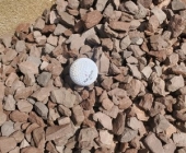 #57 Mohave